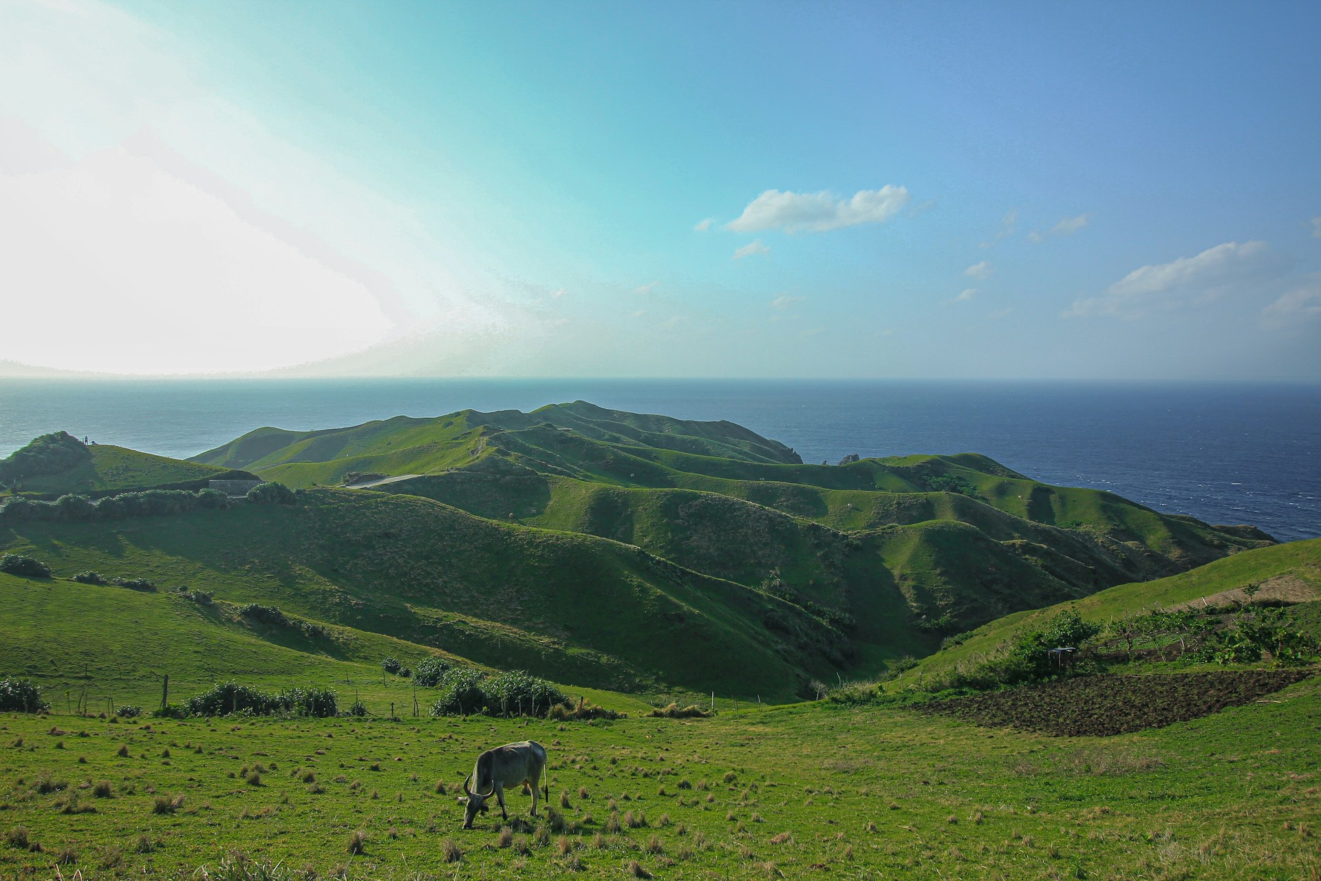 طبیعت فیلیپین
